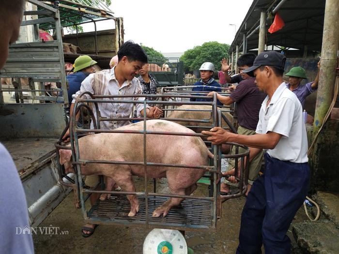 Giá heo hơi tăng "nóng", Bộ Nông nghiệp dự báo gì? - Ảnh 2. Giá heo hơi tăng "nóng", Bộ Nông nghiệp dự báo gì? - Ảnh 2.