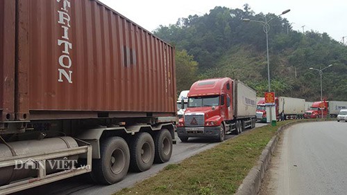 Xuất khẩu nông sản sang Trung Quốc: Doanh nghiệp chậm thay đổi - Ảnh 2. Xuất khẩu nông sản sang Trung Quốc: Doanh nghiệp chậm thay đổi - Ảnh 2.