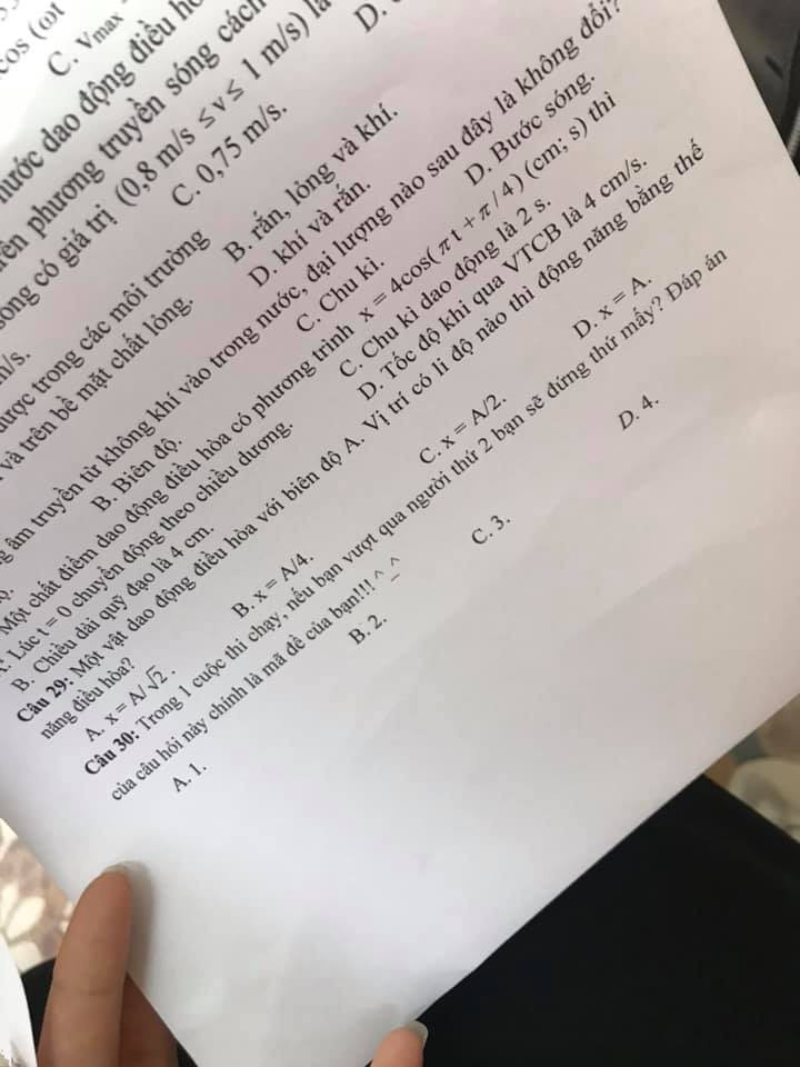- Ảnh 4. - Ảnh 4.