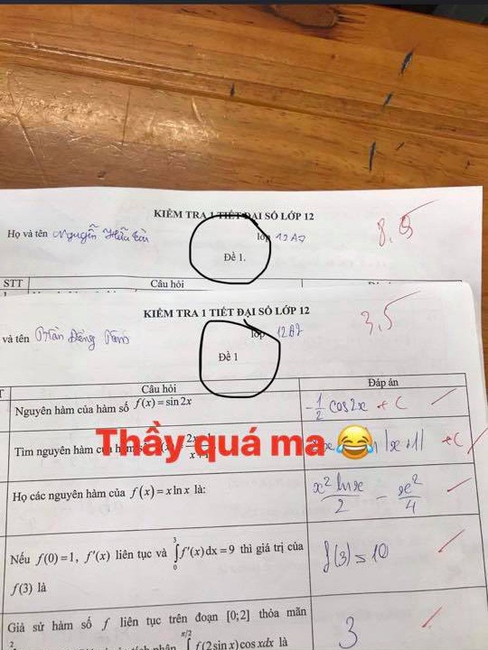 - Ảnh 5. - Ảnh 5.