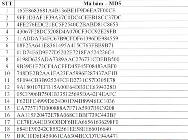 Hacker đang mở đợt tấn công có chủ đích trên diện rộng vào Việt Nam - Ảnh 3.