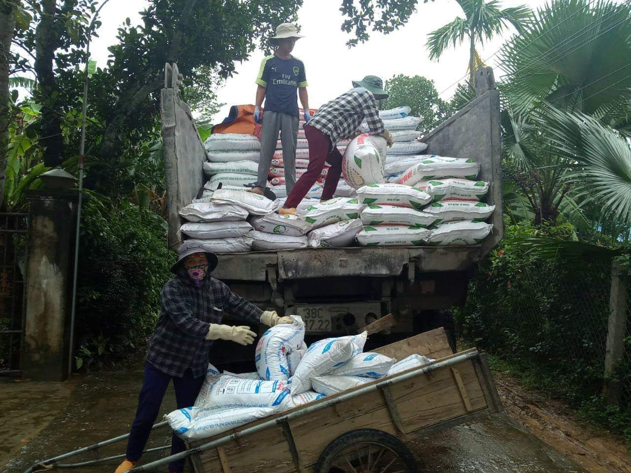 Hỗ trợ nông dân Hà Tĩnh mua hơn 3.500 tấn phân Lâm Thao chậm trả - Ảnh 2. Hỗ trợ nông dân Hà Tĩnh mua hơn 3.500 tấn phân Lâm Thao chậm trả - Ảnh 2.