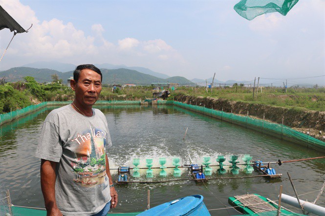 Trung Quốc ngừng mua, giá ốc hương giảm sâu suốt 6 tháng - Ảnh 2. Trung Quốc ngừng mua, giá ốc hương giảm sâu suốt 6 tháng - Ảnh 2.
