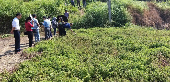 Chuyên gia Trung Quốc đánh giá cao thạch đen Việt Nam - Ảnh 2. Chuyên gia Trung Quốc đánh giá cao thạch đen Việt Nam - Ảnh 2.