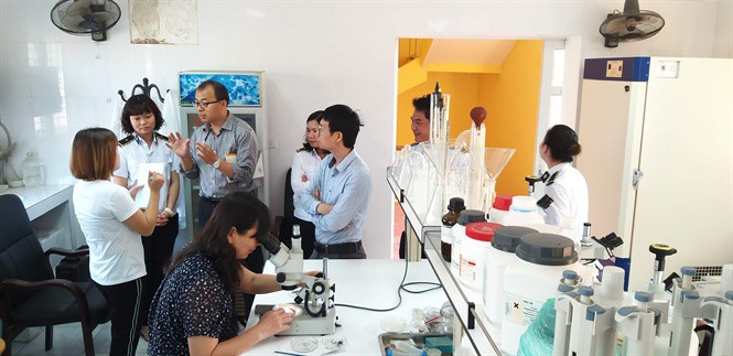Chuyên gia Trung Quốc đánh giá cao thạch đen Việt Nam - Ảnh 1. Chuyên gia Trung Quốc đánh giá cao thạch đen Việt Nam - Ảnh 1.