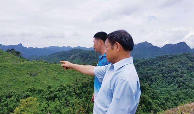 Từ trên ngọn đồi này của gia đình, ông có thể ngắm được toàn cảnh khu rừng 20ha của gia đình. Từ trên ngọn đồi này của gia đình, ông có thể ngắm được toàn cảnh khu rừng 20ha của gia đình.