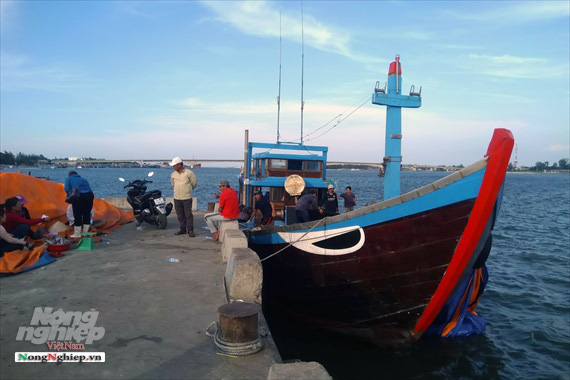 Lao đao làng nghề hấp cá xuất khẩu - Ảnh 11. Lao đao làng nghề hấp cá xuất khẩu - Ảnh 11.