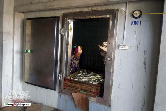 Lao đao làng nghề hấp cá xuất khẩu - Ảnh 4. Lao đao làng nghề hấp cá xuất khẩu - Ảnh 4.