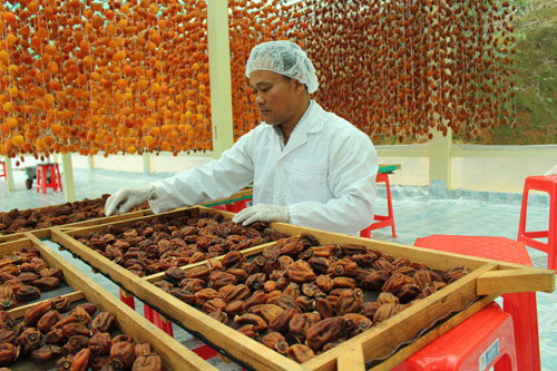 Đà Lạt: Hồng treo gió, trà atiso, cà phê được chấm điểm 4-5 sao - Ảnh 1. Đà Lạt: Hồng treo gió, trà atiso, cà phê được chấm điểm 4-5 sao - Ảnh 1.