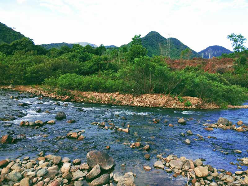 Ngao du Tà Lang - Giàn Bí ở Đà Nẵng - Ảnh 1.