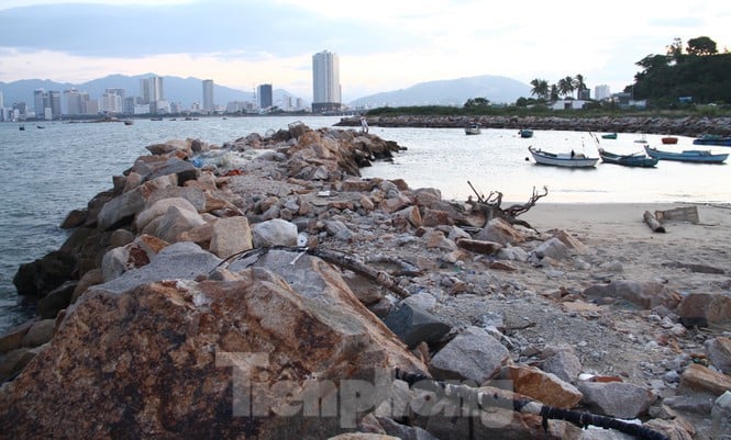Bà chủ dự án 33 triệu USD lấn biển Nha Trang bị thu hồi là ai? - Ảnh 2. Bà chủ dự án 33 triệu USD lấn biển Nha Trang bị thu hồi là ai? - Ảnh 2.