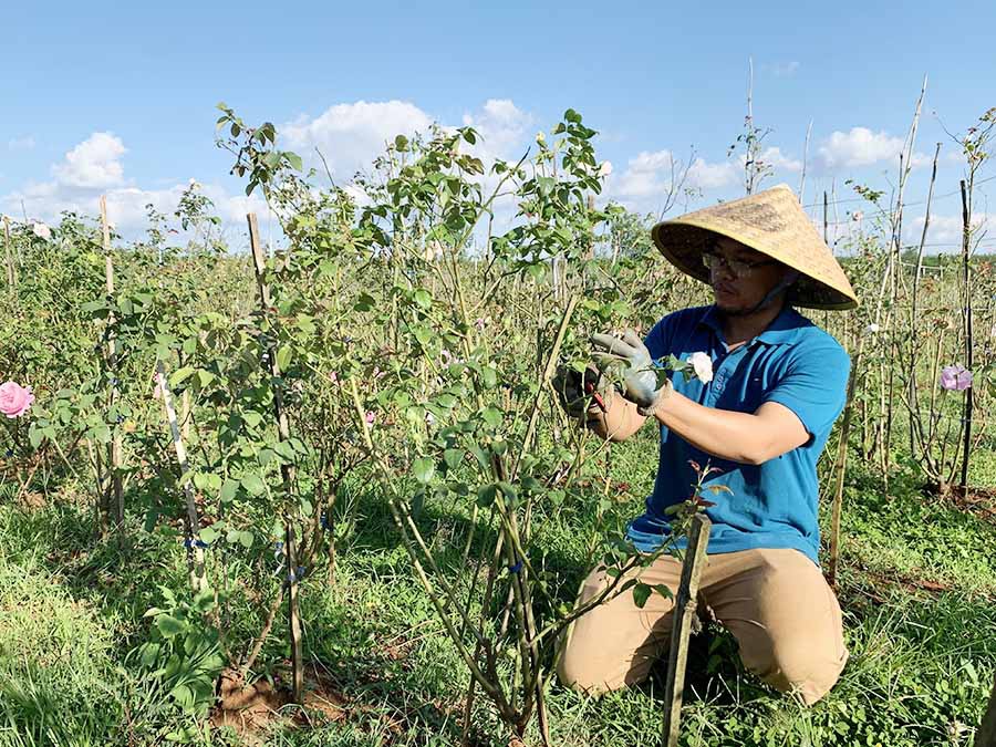 “Cơ ngơi xanh“ của chàng 9X bỏ phố về vườn - Ảnh 1. “Cơ ngơi xanh“ của chàng 9X bỏ phố về vườn - Ảnh 1.