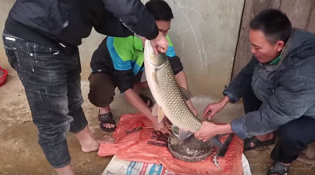 "Rùng mình" nếm thử món tiết canh cá ở Tây Bắc - Ảnh 1. "Rùng mình" nếm thử món tiết canh cá ở Tây Bắc - Ảnh 1.