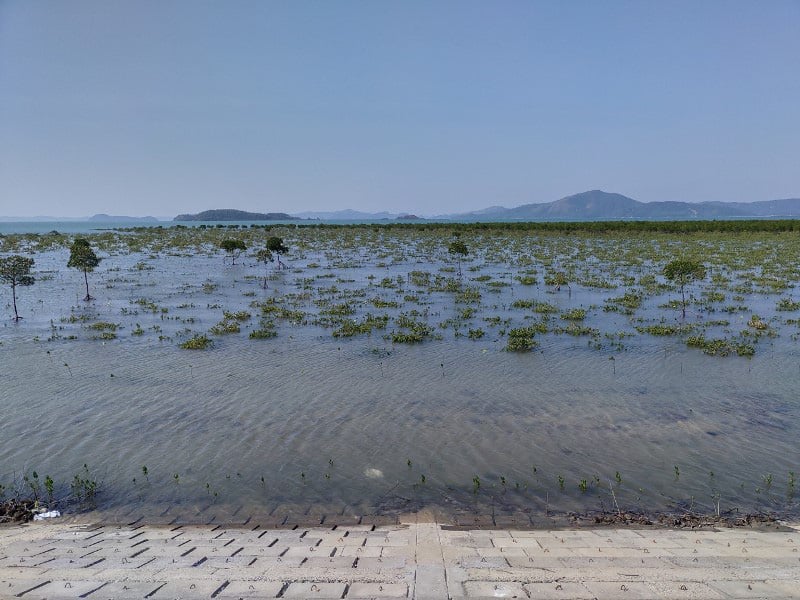 Quảng Ninh: Hoàn thành thi công tuyến đê đảo Quan Lạn - Ảnh 2.