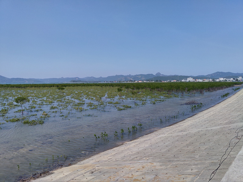 Quảng Ninh: Hoàn thành thi công tuyến đê đảo Quan Lạn - Ảnh 3.