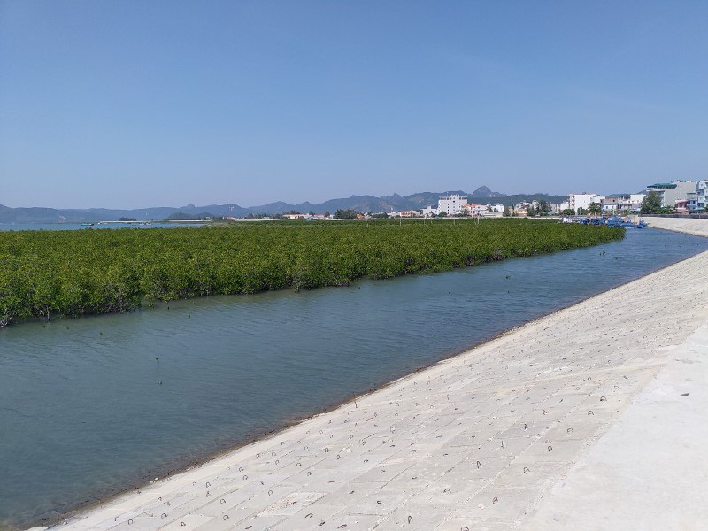 Quảng Ninh: Hoàn thành thi công tuyến đê đảo Quan Lạn - Ảnh 5.