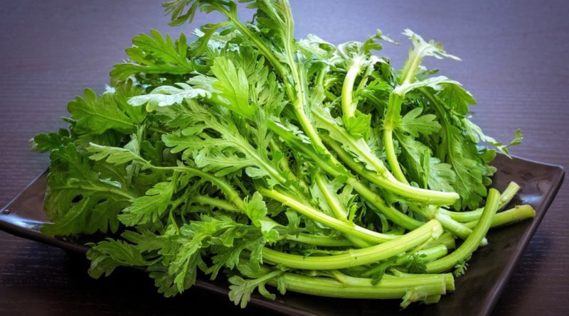 Lương y mách loại rau vài nghìn/mớ lại là thuốc bổ thận, dưỡng dạ dày, giải cảm... cực tốt - Ảnh 1. Lương y mách loại rau vài nghìn/mớ lại là thuốc bổ thận, dưỡng dạ dày, giải cảm... cực tốt - Ảnh 1.