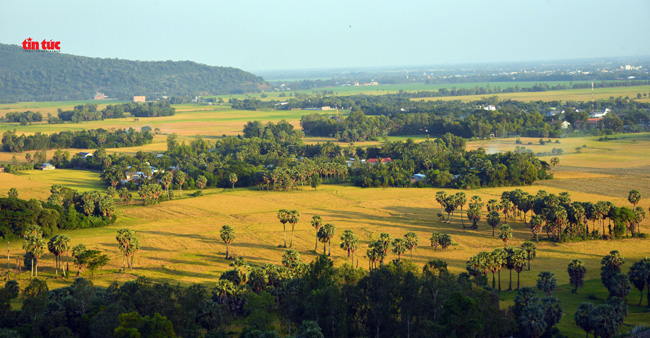 An Giang đẹp ngỡ ngàng mùa lúa chín - Ảnh 2.