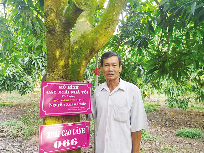 Ông Võ Hữu Hiền bên cây xoài do Thủ tướng Nguyễn Xuân Phúc tặng. Ông Võ Hữu Hiền bên cây xoài do Thủ tướng Nguyễn Xuân Phúc tặng.