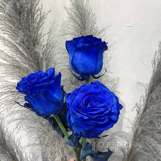 Ngày Lễ tình nhân Valentine năm nay, hoa hồng với màu sắc lạ gây sốt trên thị trường. Biểu tượng cho tình yêu vĩnh cửu, thủy chung, lâu bền, ngoài ra màu sắc khá đẹp và sang là những lý do khiến nhiều người chọn loại hoa hồng này cho ngày Valentine. Ngày Lễ tình nhân Valentine năm nay, hoa hồng với màu sắc lạ gây sốt trên thị trường. Biểu tượng cho tình yêu vĩnh cửu, thủy chung, lâu bền, ngoài ra màu sắc khá đẹp và sang là những lý do khiến nhiều người chọn loại hoa hồng này cho ngày Valentine.