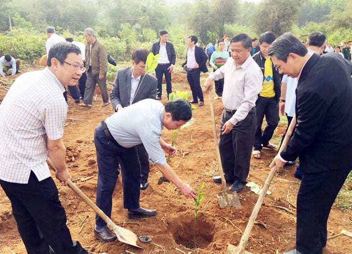 huyen ngoc lac phan dau trong them 700ha rung hinh anh 2
