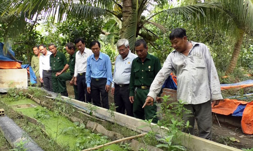 Hội viên cựu chiến binh huyện Cai Lậy và xã Mỹ Thành Nam tham quan mô hình nuôi lươn sinh sản không bùn của ông Đặng Văn Hai. Hội viên cựu chiến binh huyện Cai Lậy và xã Mỹ Thành Nam tham quan mô hình nuôi lươn sinh sản không bùn của ông Đặng Văn Hai.