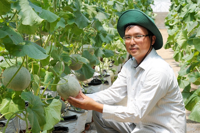 Anh Đệ bên vườn dưa lưới chuẩn bị thu hoạch. Anh Đệ bên vườn dưa lưới chuẩn bị thu hoạch.