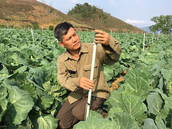 Ông Dũng lắp đặt hệ thống tưới tiêu tự động trên 2ha rau cải bắp. Ông Dũng lắp đặt hệ thống tưới tiêu tự động trên 2ha rau cải bắp.