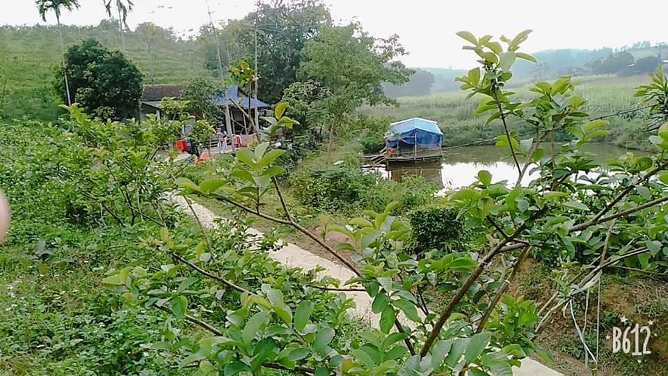 Làm trang trại là cả một hành trình dài, 5-7 năm, thậm chí là 10 năm. Không phải ông chủ nào cũng đủ kiên trì để trồng. Làm trang trại là cả một hành trình dài, 5-7 năm, thậm chí là 10 năm. Không phải ông chủ nào cũng đủ kiên trì để trồng.