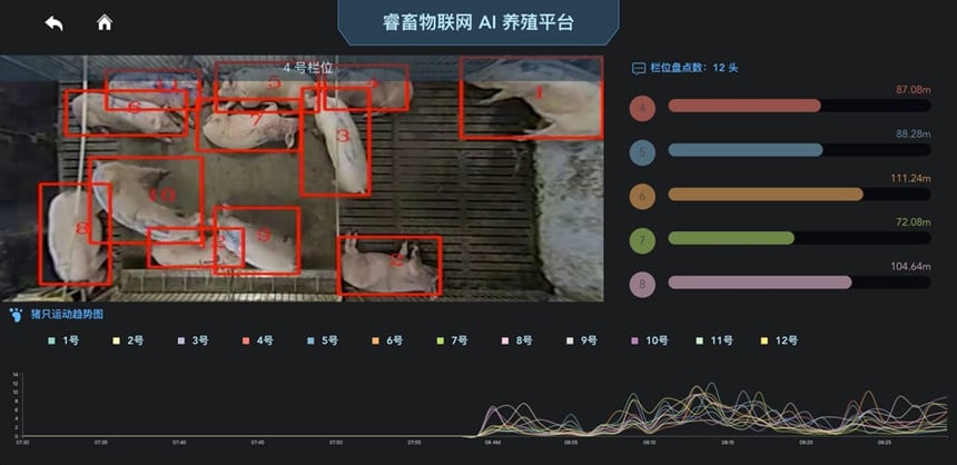 Yingzi Technology dùng video để thu hình ảnh mặt lợn vì chúng di chuyển liên tục. Ảnh: Yingzi Technology. Yingzi Technology dùng video để thu hình ảnh mặt lợn vì chúng di chuyển liên tục. Ảnh: Yingzi Technology.
