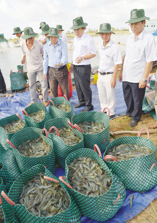 Qua 15 năm chàng kỹ sư thủy sản năm xưa đã chèo lái đưa sản phẩm của Công ty Trúc Anh phát triển rộng khắp các tỉnh thành nuôi tôm trên cả nước với hơn 300 đại lý và hơn 10.000 hộ nuôi tôm tin dùng.