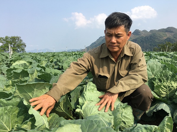 Không chỉ làm kinh tế giỏi, ông Dũng còn tạo công ăn việc làm cho 3 công nhân ở địa phương. Không chỉ làm kinh tế giỏi, ông Dũng còn tạo công ăn việc làm cho 3 công nhân ở địa phương.