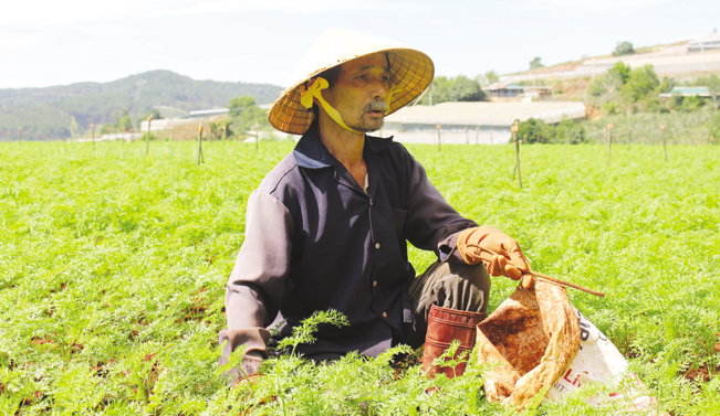 Ông Nguyễn Văn Vinh đã từng phản đối con rất nhiều khi mới xây dựng ý tưởng.