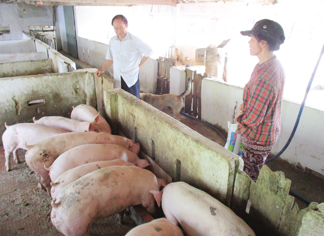 Nhờ chăn nuôi mà mỗi năm trang trại của lão nông U70 Nguyễn Đức Sơn ở tại thôn Kỳ Lam, xã Điện Thọ, thị xã Điện Bàn, tỉnh Quảng Nam thu hàng tỷ đồng. Nhờ chăn nuôi mà mỗi năm trang trại của lão nông U70 Nguyễn Đức Sơn ở tại thôn Kỳ Lam, xã Điện Thọ, thị xã Điện Bàn, tỉnh Quảng Nam thu hàng tỷ đồng.