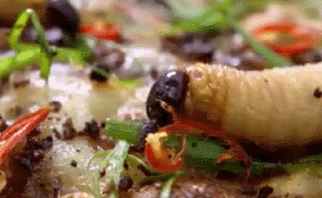 Món pizza với những con đuông dừa bò lổm ngổm khiến thực khách rùng mình. Món pizza với những con đuông dừa bò lổm ngổm khiến thực khách rùng mình.