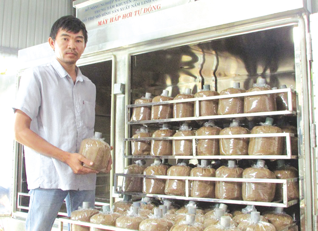 Với sự tiếp sức vốn kịp thời của ngân hàng Agribank mà nhiều thanh niên ở Đà Nẵng đã mạnh dạn làm giàu bằng các mô hình trồng trọt hiệu quả. Với sự tiếp sức vốn kịp thời của ngân hàng Agribank mà nhiều thanh niên ở Đà Nẵng đã mạnh dạn làm giàu bằng các mô hình trồng trọt hiệu quả.
