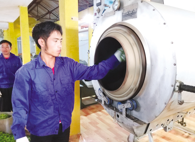 Đơn vị này mới áp dụng công nghệ sấy chè hiện đại vào chế biến giúp giảm nhân công, tăng giá trị sản phẩm. Đơn vị này mới áp dụng công nghệ sấy chè hiện đại vào chế biến giúp giảm nhân công, tăng giá trị sản phẩm.