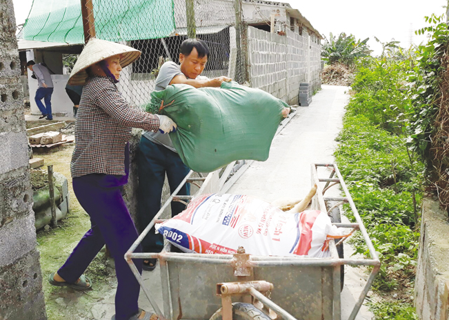 Tiêu hủy lợn bị dịch tả lợn châu Phi ở huyện Vũ Thư (Thái Bình)