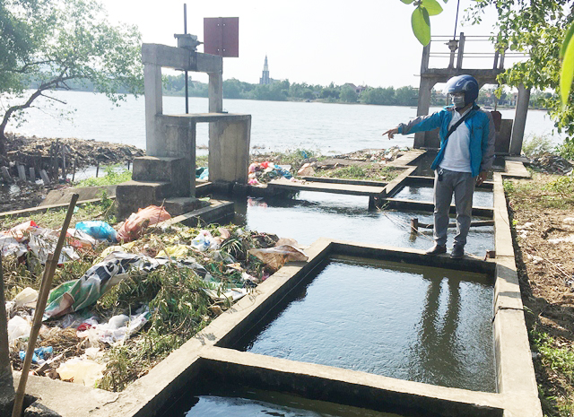 quang binh: xac lon, cho, meo lenh benh tren kenh hinh anh 4