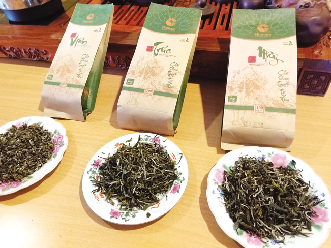 Hiện, sản phẩm chè Tà Xuà đã có mặt tại thị trường cả nước. Hiện, sản phẩm chè Tà Xuà đã có mặt tại thị trường cả nước.