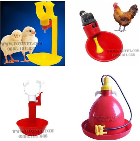Máng uống nước cho gà. Máng uống nước cho gà.