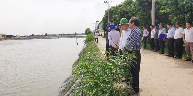 Các đại biểu thăm mô hình nuôi cá tra tại Long An.