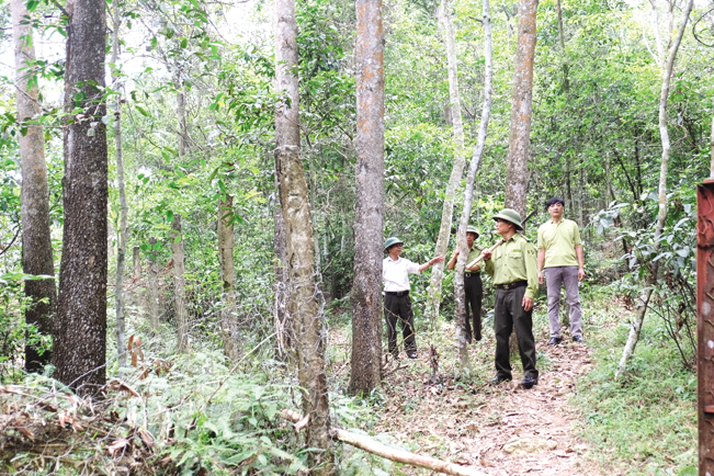 Chính sách chi trả dịch vụ môi trường rừng khiến người dân yên tâm gắn bó với rừng. Chính sách chi trả dịch vụ môi trường rừng khiến người dân yên tâm gắn bó với rừng.
