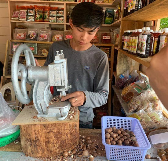 Hạt mắc ca được mệnh danh là Hạt mắc ca được mệnh danh là