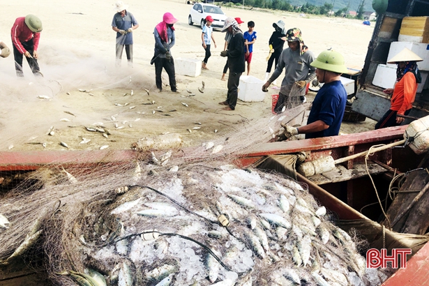 tha luoi trung hang tan ca bac ma, ve bo da co nguoi mua gia cao hinh anh 1