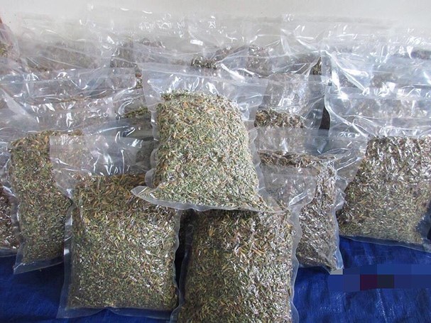 Giá 1kg hoa đu đủ đực khô khá đắt đỏ, dao động từ 800.000 -1,5 triệu đồng. Giá 1kg hoa đu đủ đực khô khá đắt đỏ, dao động từ 800.000 -1,5 triệu đồng.
