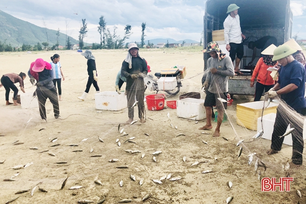 tha luoi trung hang tan ca bac ma, ve bo da co nguoi mua gia cao hinh anh 3