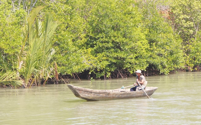 Nông dân sửa soạn ao nuôi, dụng cụ để chuẩn bị vào vụ tôm mới.