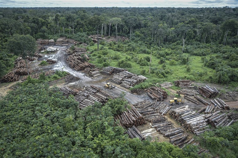 Tình trạng chặt phá rừng tại Brazil hiện đang ở tốc độ lớn chưa từng thấy (Ảnh: Reuters) Tình trạng chặt phá rừng tại Brazil hiện đang ở tốc độ lớn chưa từng thấy (Ảnh: Reuters)