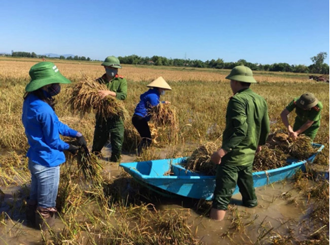 Các cán bộ, chiến sĩ, đoàn viên giúp dân gặt lúa. Các cán bộ, chiến sĩ, đoàn viên giúp dân gặt lúa.